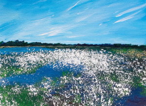 WOLLGRASBLÜTE I_Icon